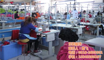 t恤衫工廠,京嘉服飾 已認(rèn)證 ,t恤衫最低優(yōu)惠價(jià)格